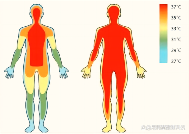 2000余年艾灸的中医王位是如何形成的